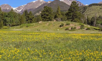 best national parks to visit in june