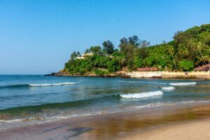 best beaches in goa for nightlife