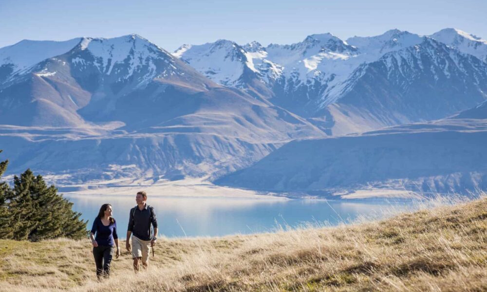 Can you explore New Zealand without a driving licence?