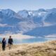 Can you explore New Zealand without a driving licence?