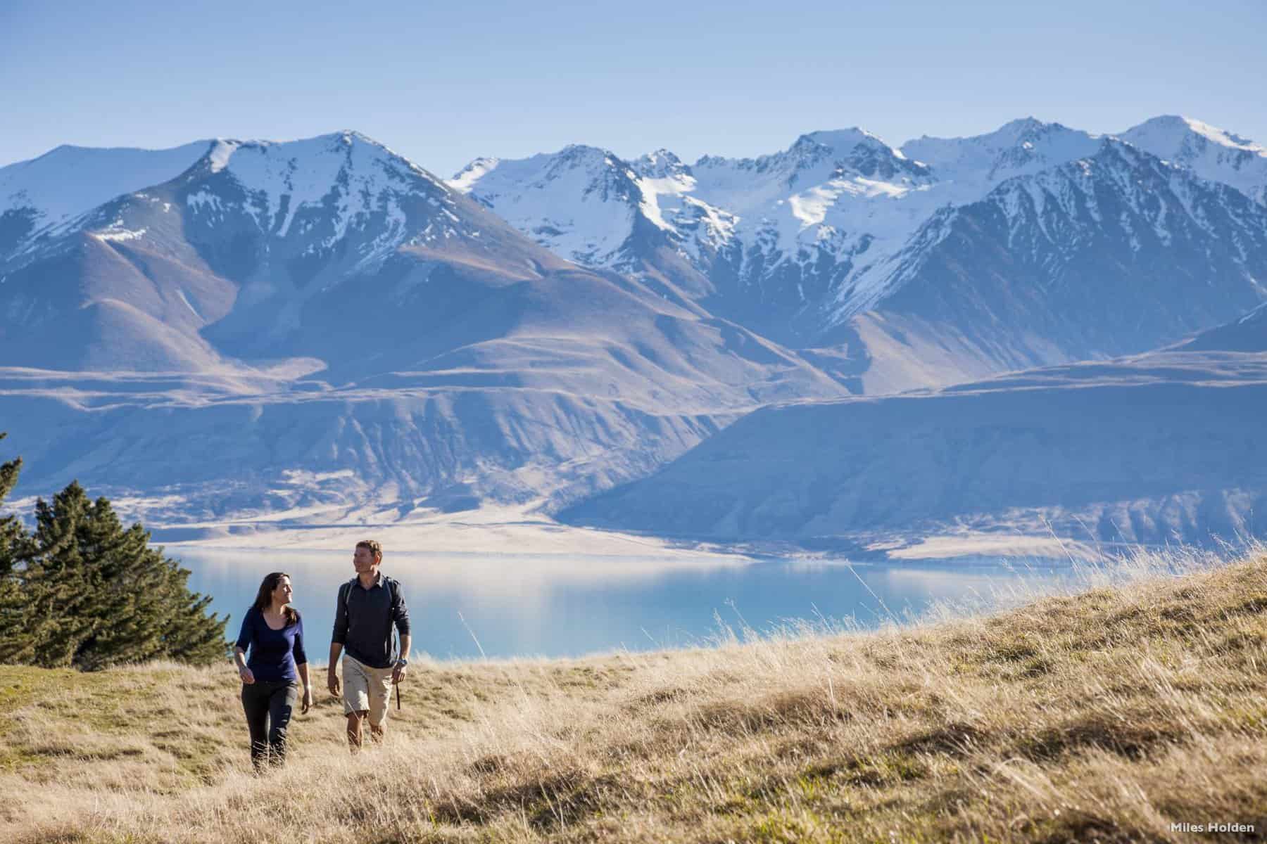 Can you explore New Zealand without a driving licence?