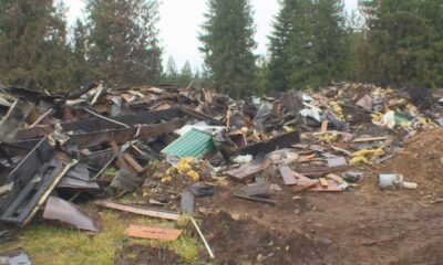 Fire destroys five structures at trailer park in Malakwa, B.C.