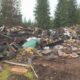 Fire destroys five structures at trailer park in Malakwa, B.C.