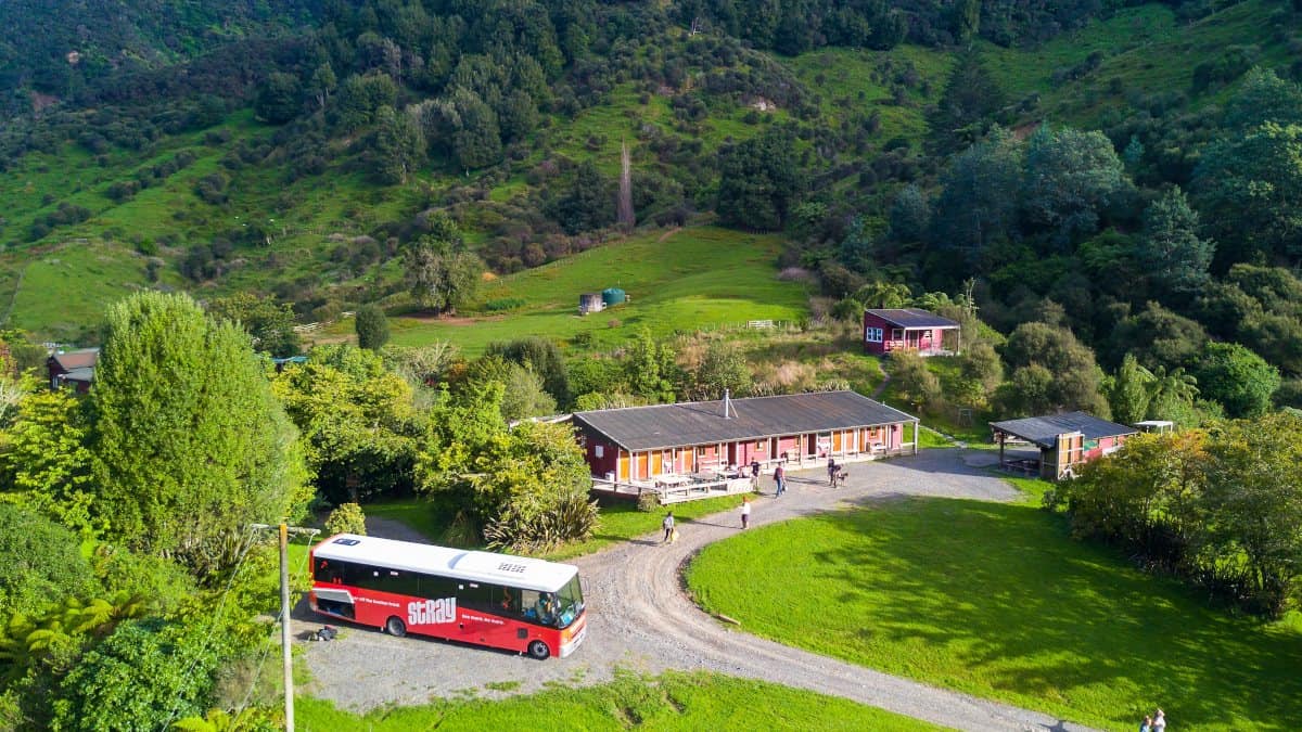 Great news! A Stray Journey is the best New Zealand bus pass