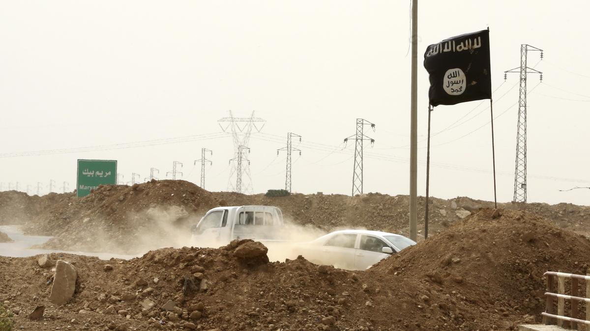 Islamic State killed more than 4,000 since Syria territorial defeat: monitor