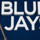 Jays reliever Garcia day-to-day with elbow issue