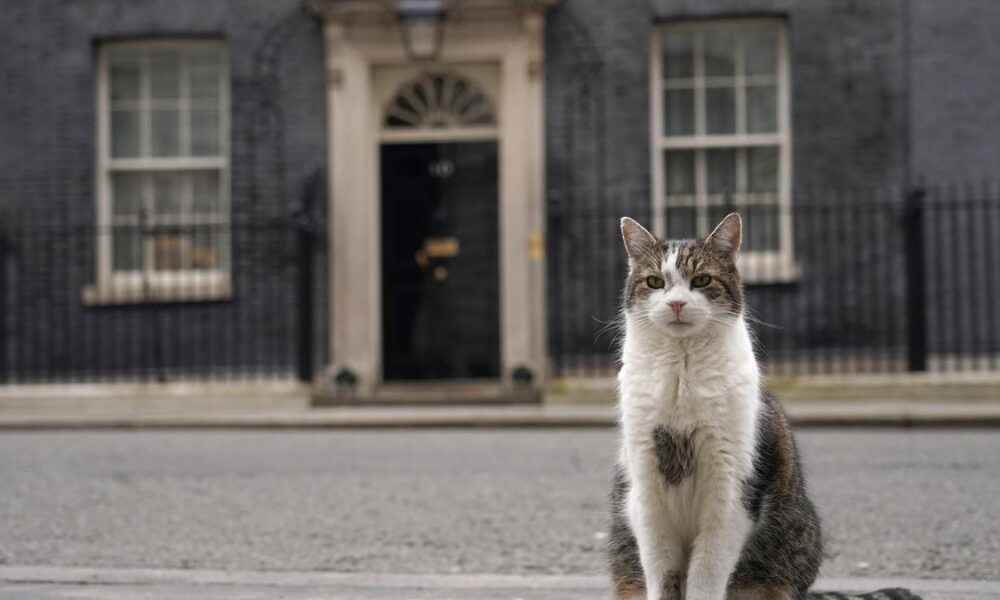 Larry the Downing Street cat in line for his sixth prime minister