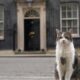 Larry the Downing Street cat in line for his sixth prime minister