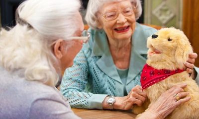 Robot cats, dogs and birds are being deployed amid an ‘epidemic of loneliness’