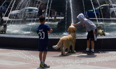 Should you keep your kid home from school in a heat wave? Pediatrician weighs in - National