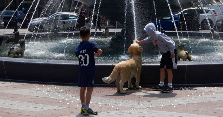 Should you keep your kid home from school in a heat wave? Pediatrician weighs in - National