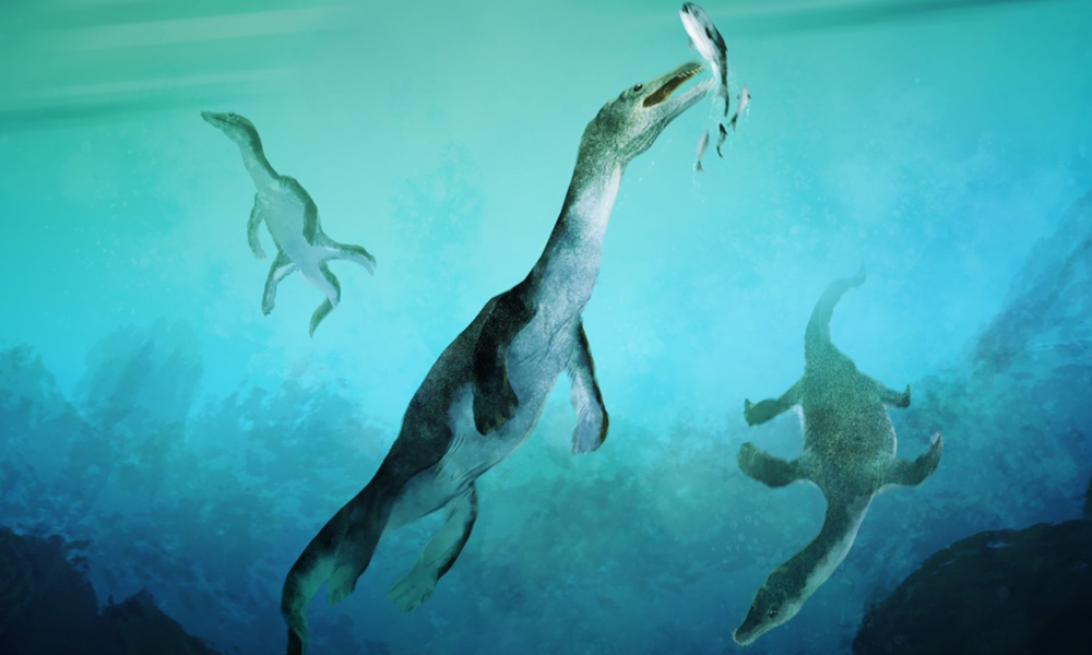 This giant polar reptile once stalked an ancient super-ocean