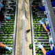 U.S.D.A. Suspends Avocado Inspections in Mexico, Citing Security Concerns