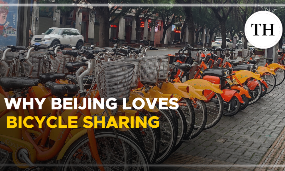 Why Beijing loves bicycle sharing: Watch Video