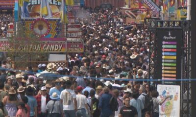 Calgary Stampede: safety begins with beating the heat - Calgary