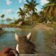 Far Cry 6 Review | bit-tech.net