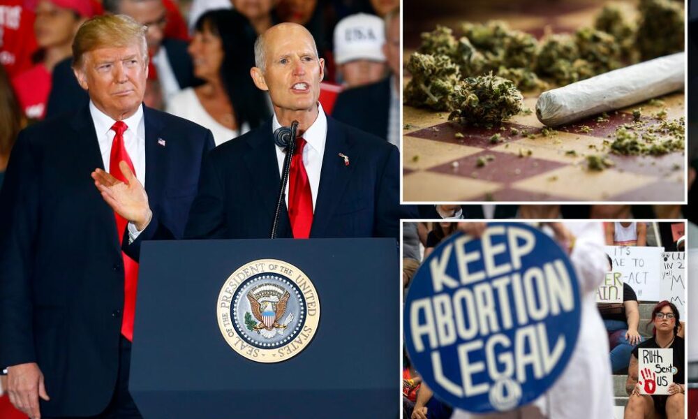 Florida wants Donald Trump and Rick Scott — but also abortion rights, legalized weed: poll