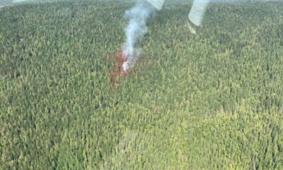 Lower Blueberry Creek blaze in Shuswap considered held: B.C. Wildfire - Okanagan