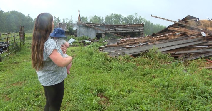 Perth tornado devastates family farm, community rallies to help rebuild - Kingston