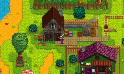 Stardew Valley