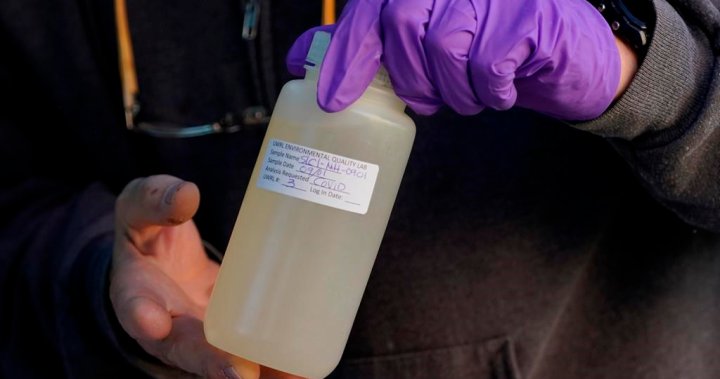 ‘Incredibly disappointing’: Ontario halts wastewater testing for COVID, other viruses