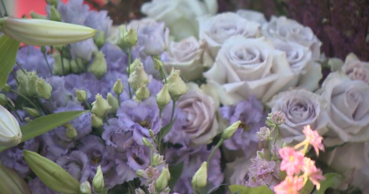 From tragedy to flowers: How a B.C. family is healing and helping others - BC