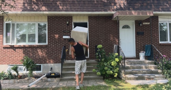 Mould, sewage and ‘hazardous’ damage: Flood victims turn to volunteers for help