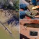 Remains of US last known slave ship, the Clotilda, buried in Alabama river to remain underwater