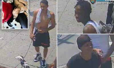 Trio of thieves beat woman, steal her two dogs on NYC street: police