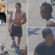 Trio of thieves beat woman, steal her two dogs on NYC street: police