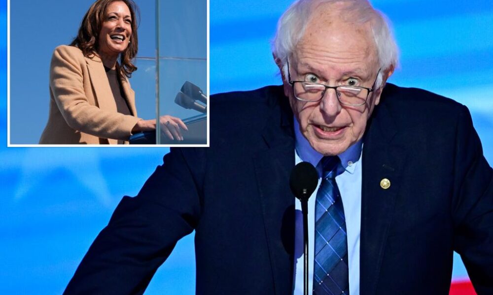 Bernie Sanders calls Harris 'pragmatic' amid attacks over her being too liberal