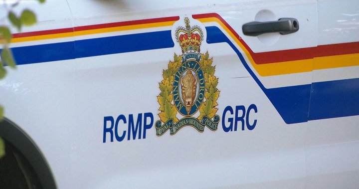 Body found alongside road east of Calgary prompts homicide probe: RCMP