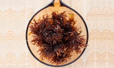 glass bowl filled with brown seaweed