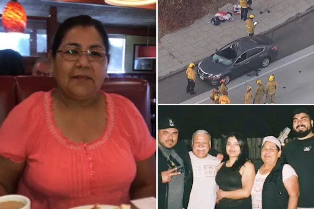 California grandmother, Margarita Novela Galindo, killed after suicidal man jumps off highway overpass