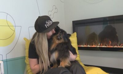 First-of-its-kind Canine Social Club opens in Kelowna, BC - Okanagan