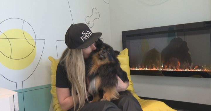 First-of-its-kind Canine Social Club opens in Kelowna, BC - Okanagan