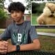 Hogwild drama unfolds as hero teen Caleb Morris thwarts unhinged groundhog's attack on jogger