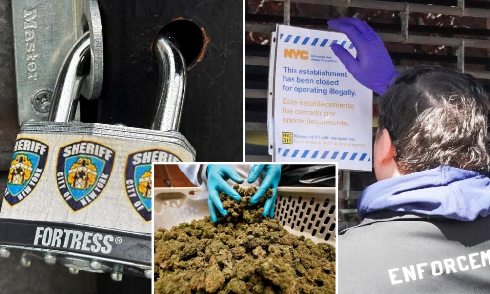 Hundreds of illegal NYC pot shops have dodged millions of dollars in fines: council report