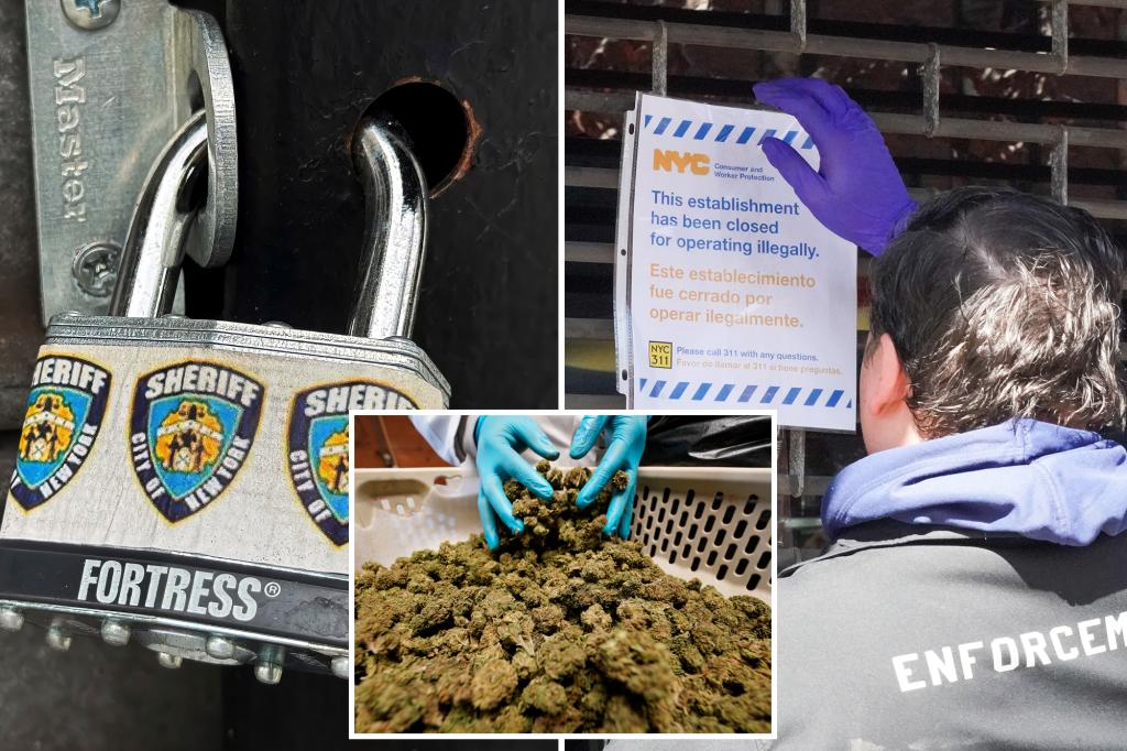 Hundreds of illegal NYC pot shops have dodged millions of dollars in fines: council report