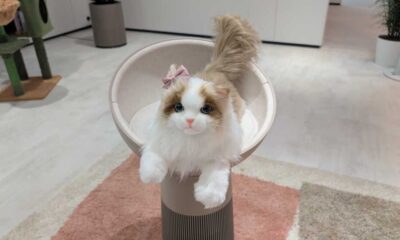 LG air purifier cat bed