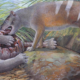 New bone-crushing Tasmanian tiger species dug up by paleontologists