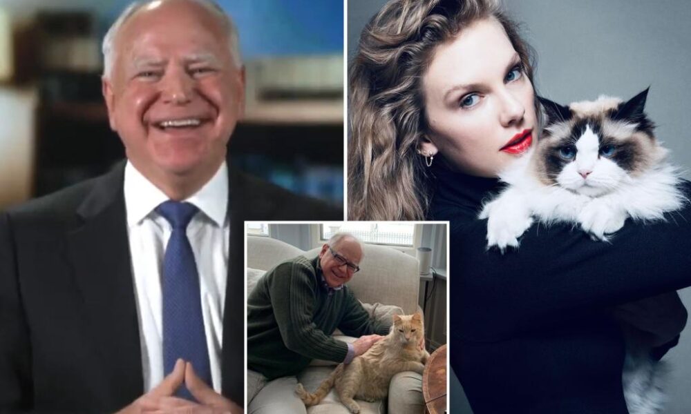 Tim Walz 'grateful' for Taylor Swift's endorsement in 2024 presidential election as 'a fellow cat owner'