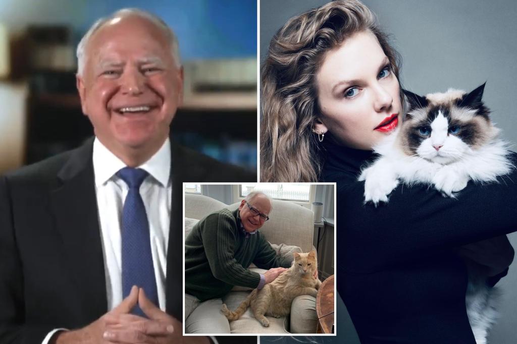 Tim Walz 'grateful' for Taylor Swift's endorsement in 2024 presidential election as 'a fellow cat owner'