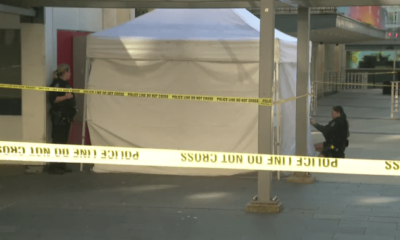 Unhoused man identified as victim in deadly Vancouver stranger attack - BC