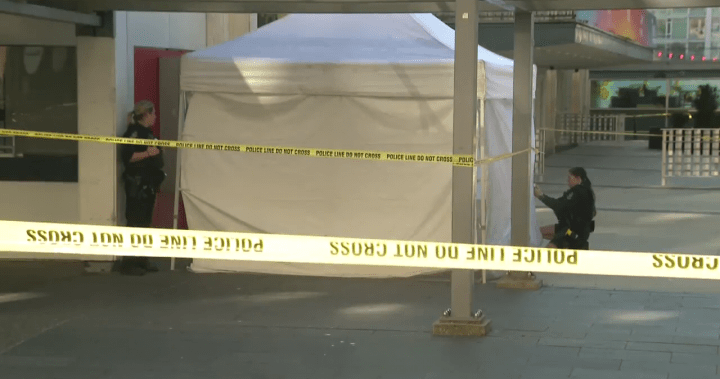 Unhoused man identified as victim in deadly Vancouver stranger attack - BC