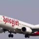 10 new aircraft to join SpiceJet fleet by November-end amid growth push, ET TravelWorld