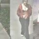 3 female suspects wanted in Surrey stabbing that left woman in hospital - BC