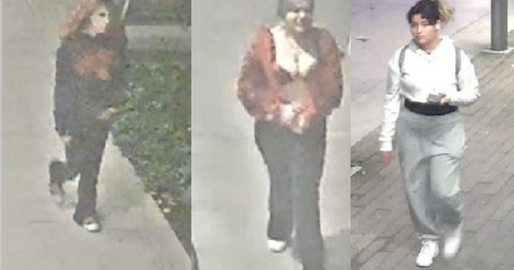 3 female suspects wanted in Surrey stabbing that left woman in hospital - BC