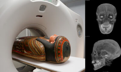 3D scans reveal secrets of a 3,000-year-old Egyptian mummy's coffin