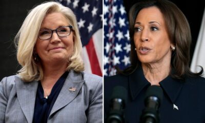 All the times ex-GOP Rep. Liz Cheney ripped 'radical' Kamala Harris before endorsement